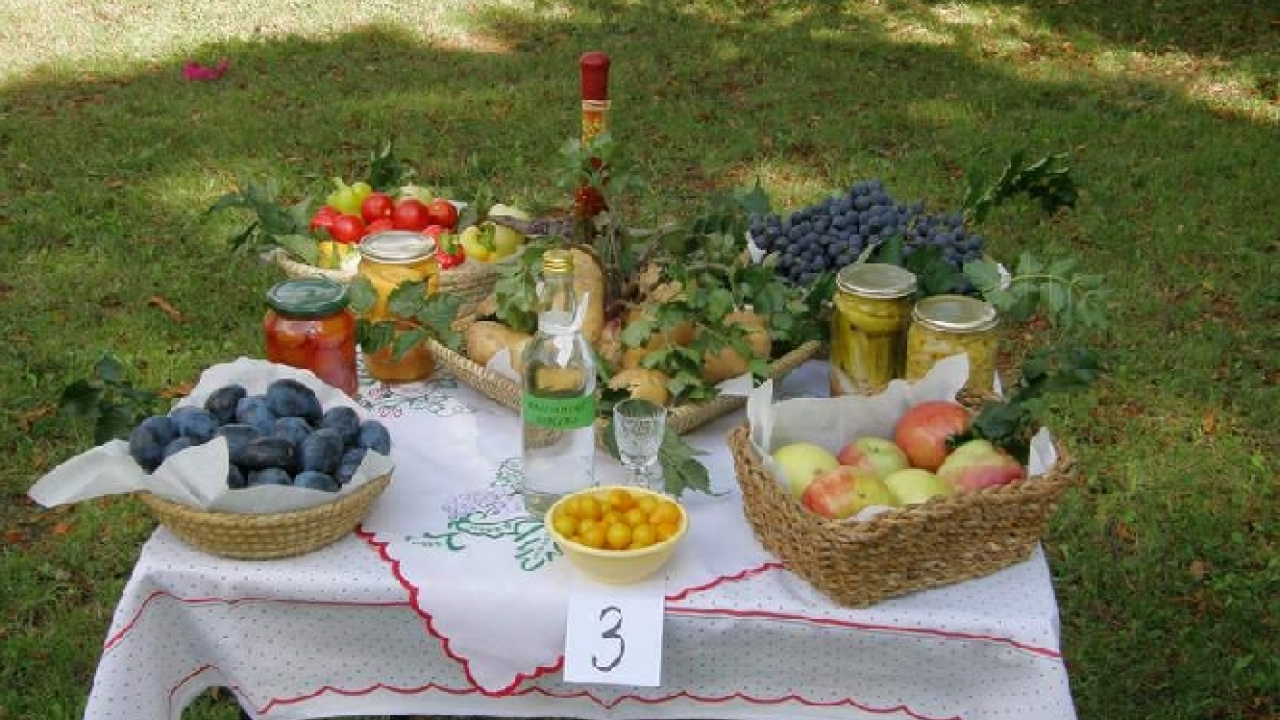 Fotografia fotogalérie Čo záhrada dala rok 2009