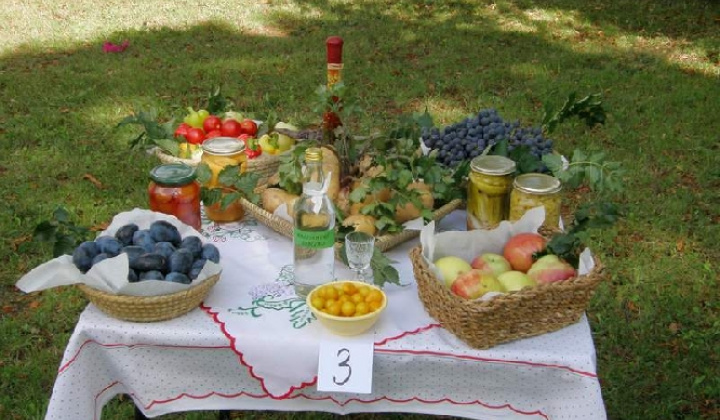 1. fotografia fotogalérie Čo záhrada dala rok 2009