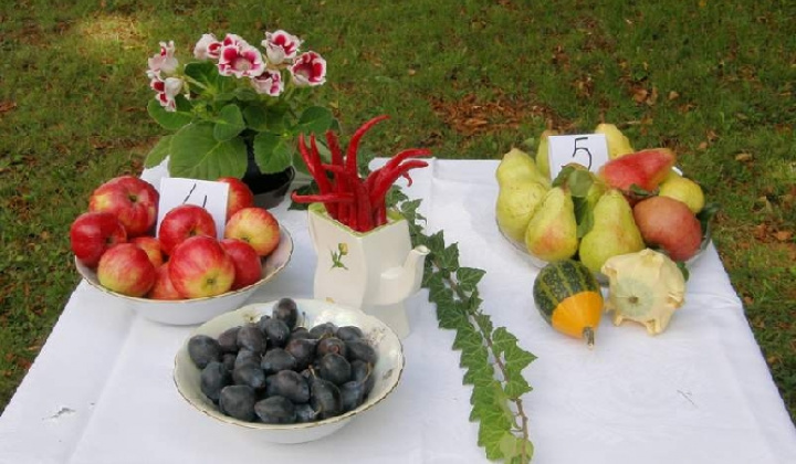 3. fotografia fotogalérie Čo záhrada dala rok 2009