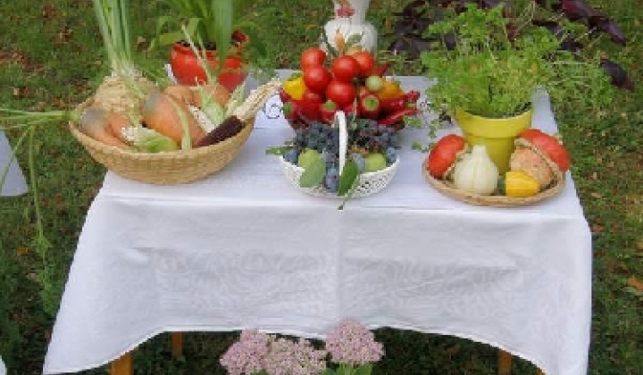 4. fotografia fotogalérie Čo záhrada dala rok 2009