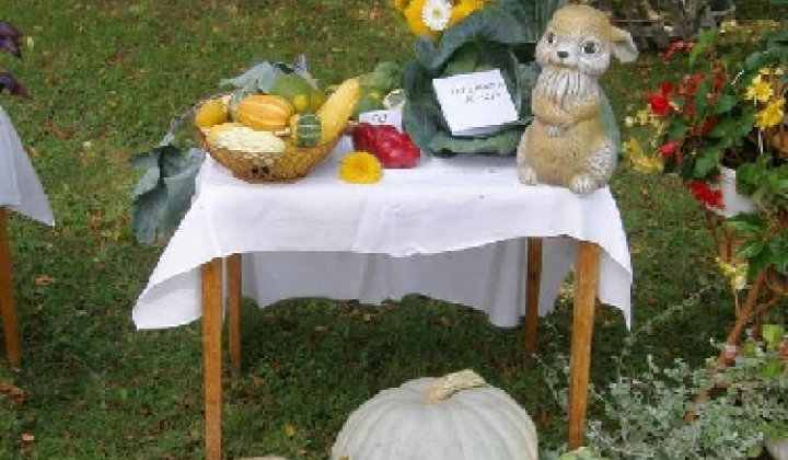 5. fotografia fotogalérie Čo záhrada dala rok 2009