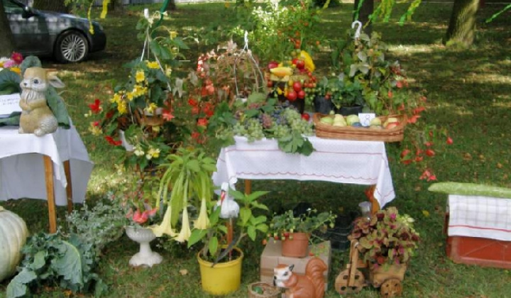 6. fotografia fotogalérie Čo záhrada dala rok 2009