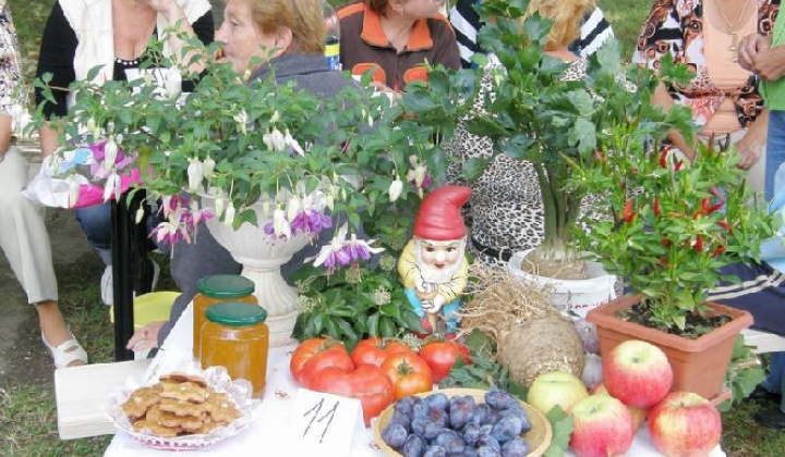 7. fotografia fotogalérie Čo záhrada dala rok 2009