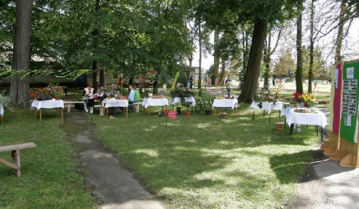 10. fotografia fotogalérie Čo záhrada dala rok 2009