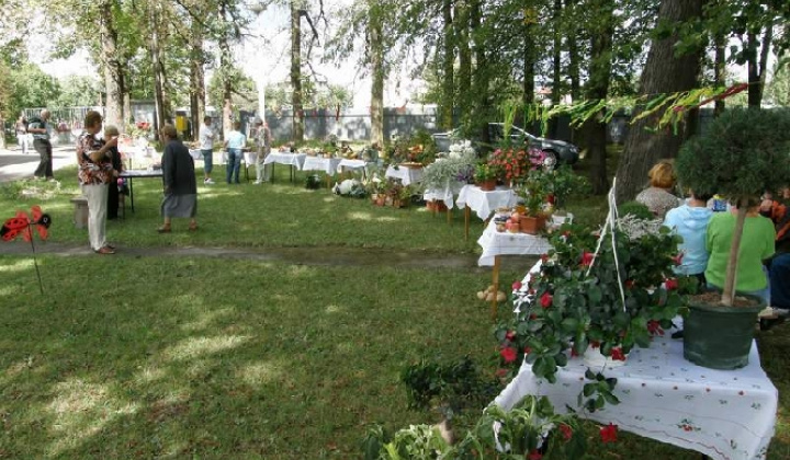 11. fotografia fotogalérie Čo záhrada dala rok 2009