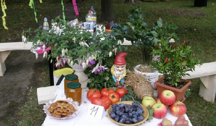 15. fotografia fotogalérie Čo záhrada dala rok 2009