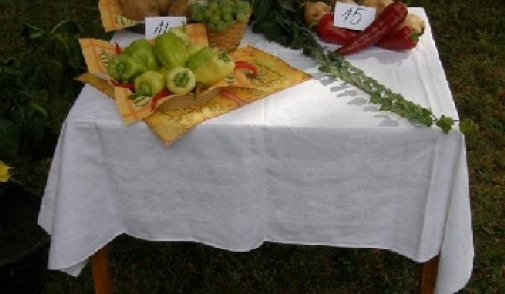 17. fotografia fotogalérie Čo záhrada dala rok 2009