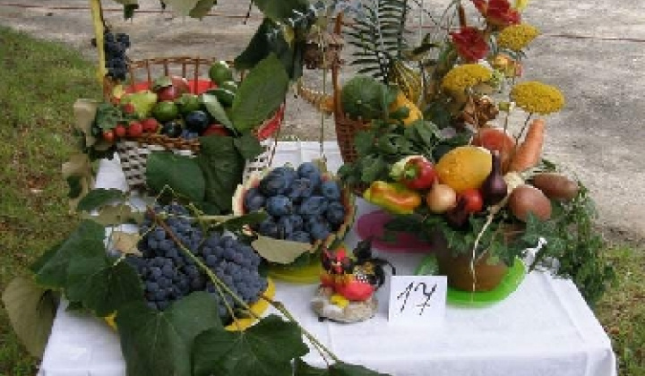 18. fotografia fotogalérie Čo záhrada dala rok 2009