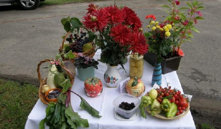 19. fotografia fotogalérie Čo záhrada dala rok 2009