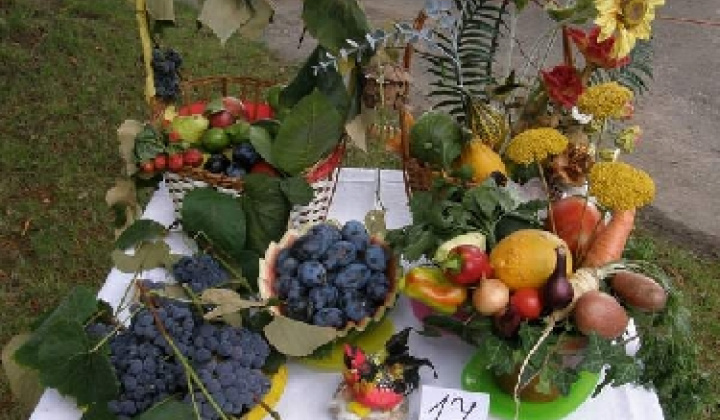 20. fotografia fotogalérie Čo záhrada dala rok 2009