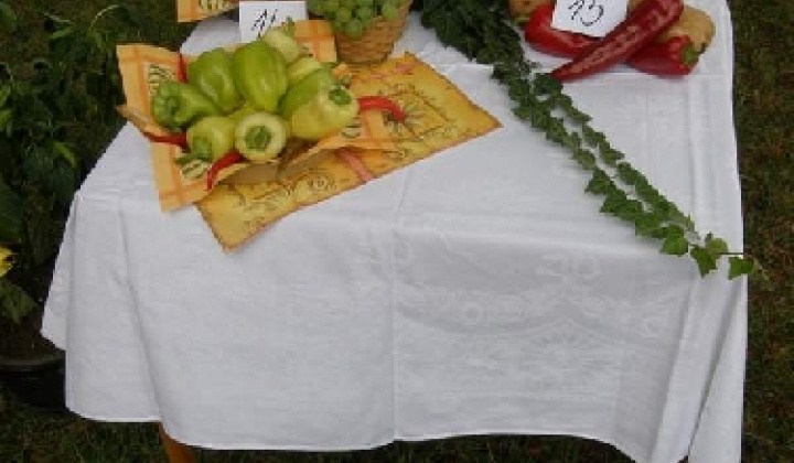 21. fotografia fotogalérie Čo záhrada dala rok 2009