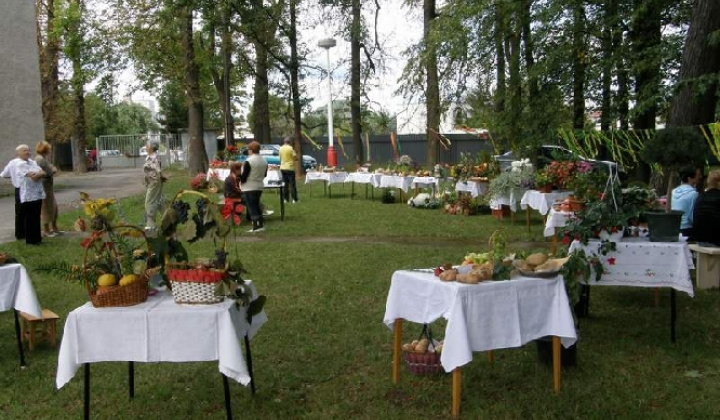 22. fotografia fotogalérie Čo záhrada dala rok 2009