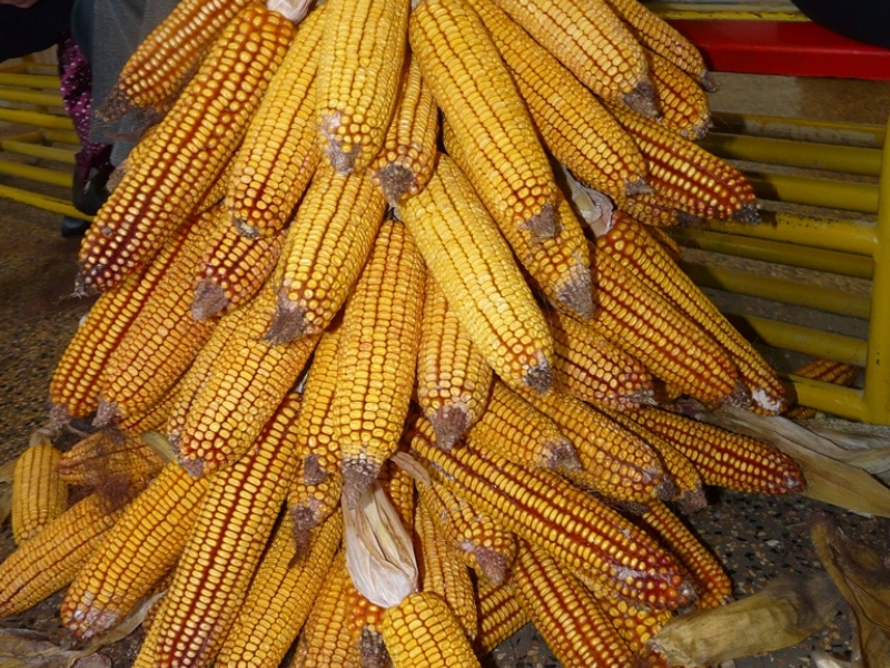 Lúštierky - 6. október 2017