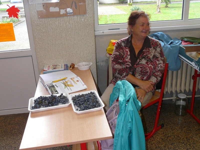 Lúštierky - 6. október 2017