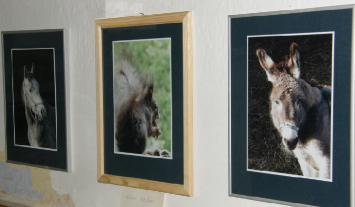 15. fotografia fotogalérie Šikovné ruky kedysi a dnes