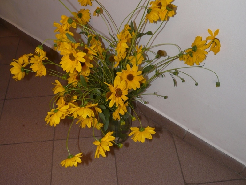 Čo záhrada dala - 3. september 2017