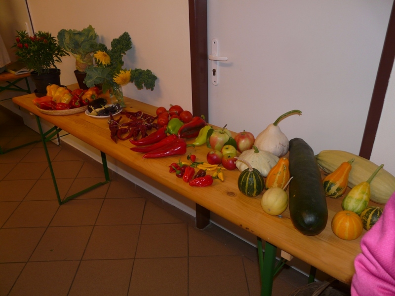 Čo záhrada dala - 3. september 2017