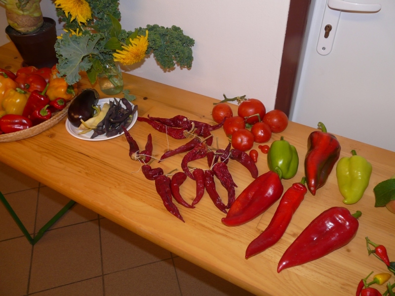 Čo záhrada dala - 3. september 2017