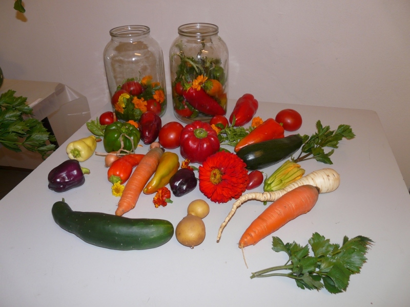 Čo záhrada dala - 3. september 2017