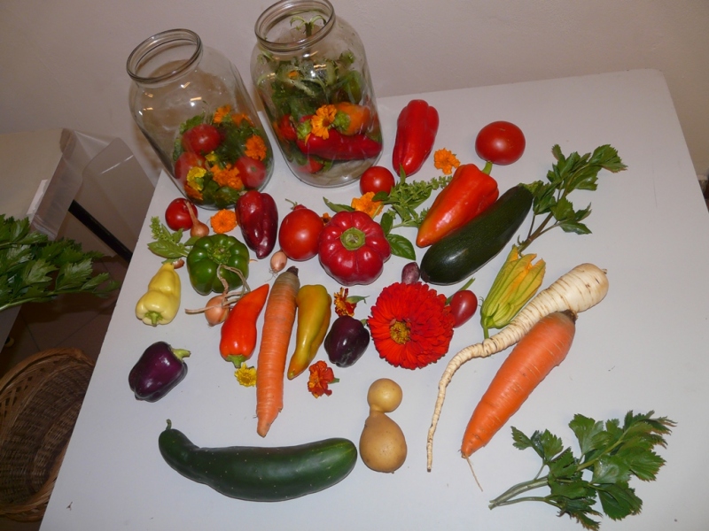 Čo záhrada dala - 3. september 2017