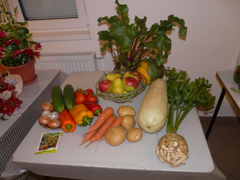 Čo záhrada dala - 3. september 2017