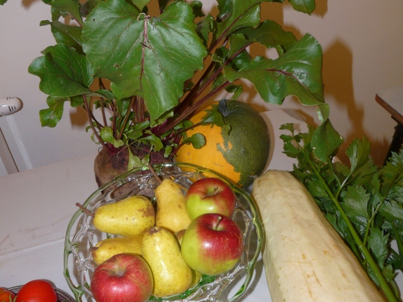 Čo záhrada dala - 3. september 2017