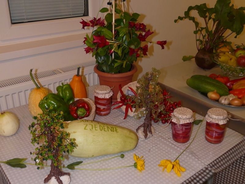 Čo záhrada dala - 3. september 2017