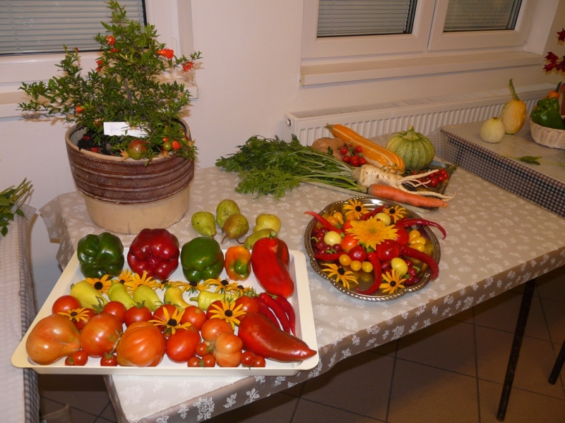 Čo záhrada dala - 3. september 2017