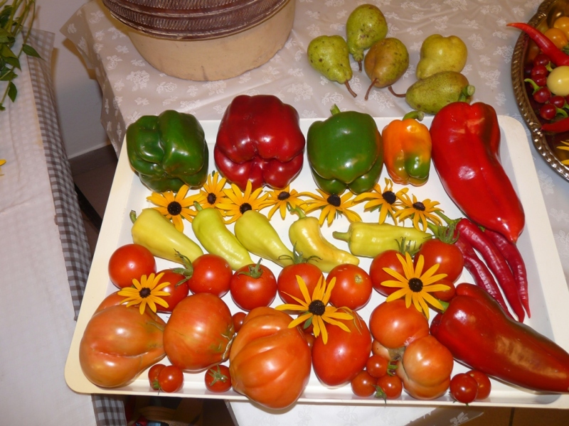 Čo záhrada dala - 3. september 2017