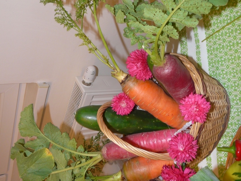 Čo záhrada dala - 3. september 2017