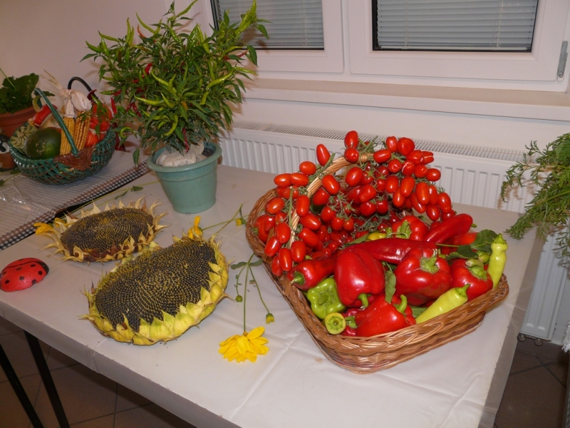 Čo záhrada dala - 3. september 2017