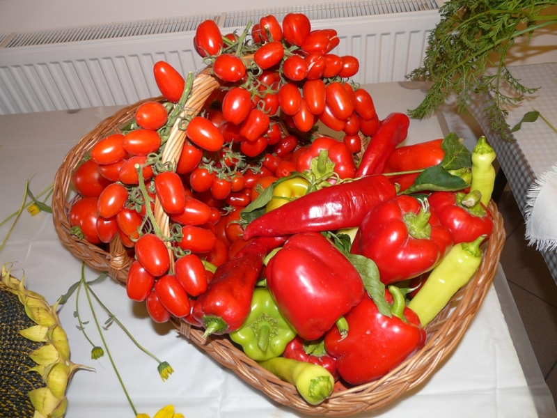 Čo záhrada dala - 3. september 2017