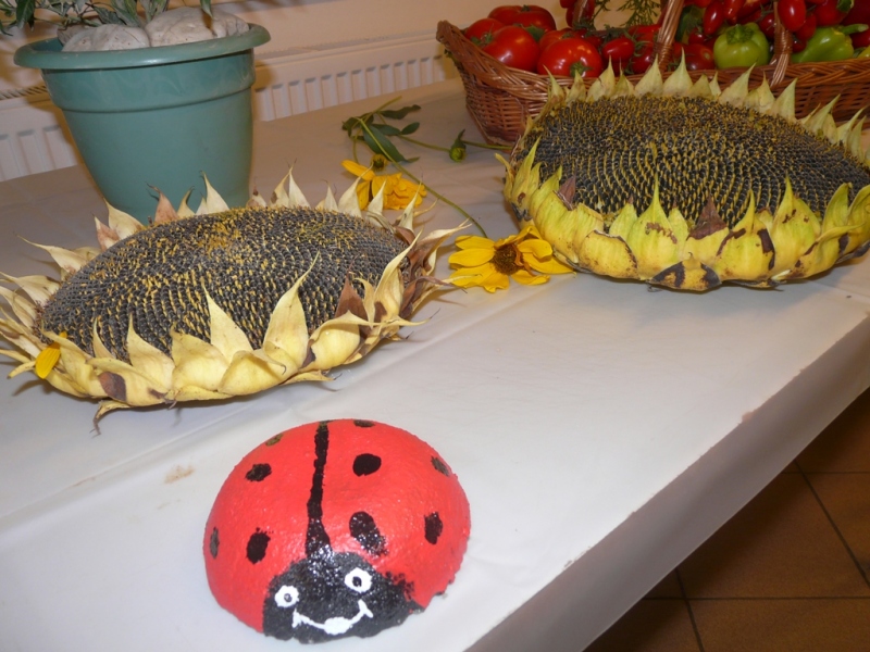 Čo záhrada dala - 3. september 2017