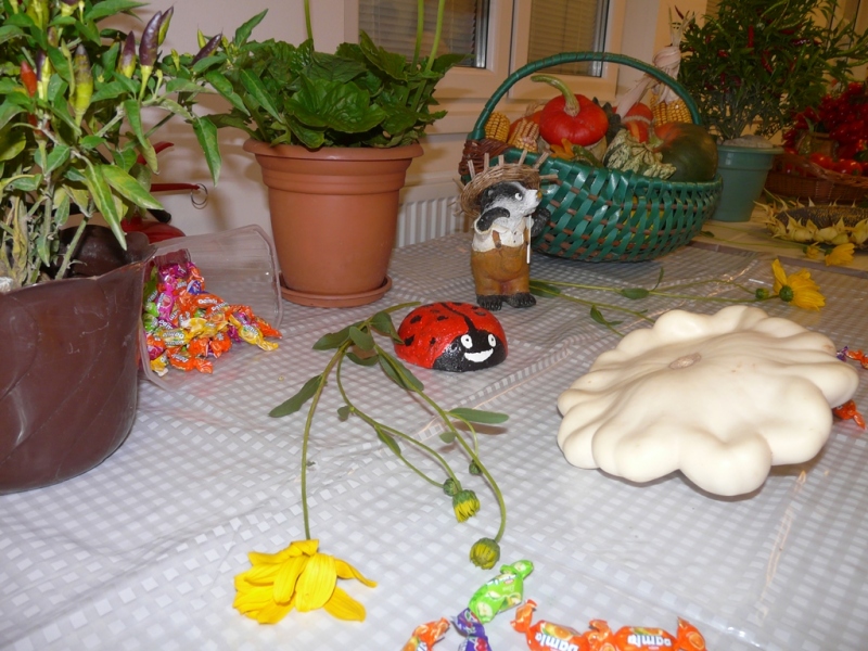 Čo záhrada dala - 3. september 2017