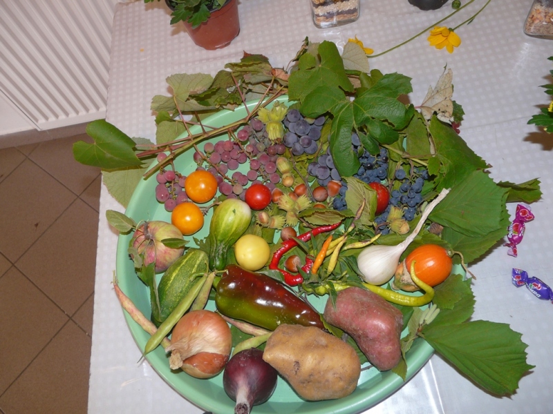 Čo záhrada dala - 3. september 2017