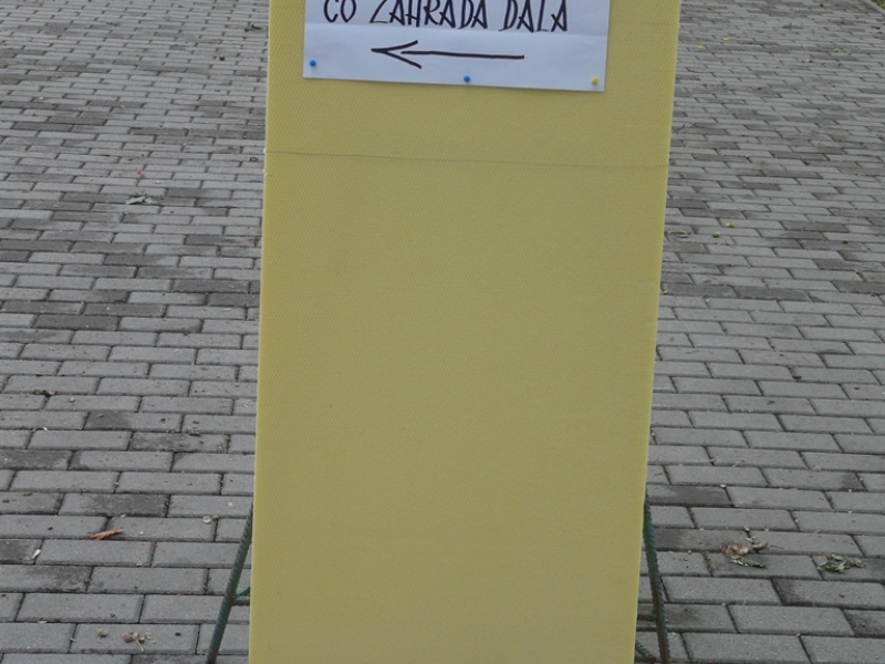 Čo záhrada dala - 3. september 2017