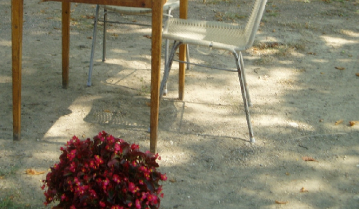 2. fotografia fotogalérie Čo záhrada dala 2012