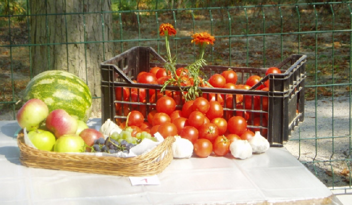 4. fotografia fotogalérie Čo záhrada dala 2012