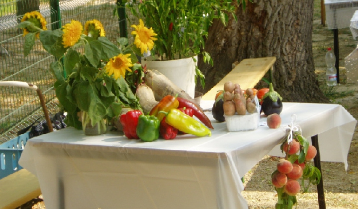 6. fotografia fotogalérie Čo záhrada dala 2012