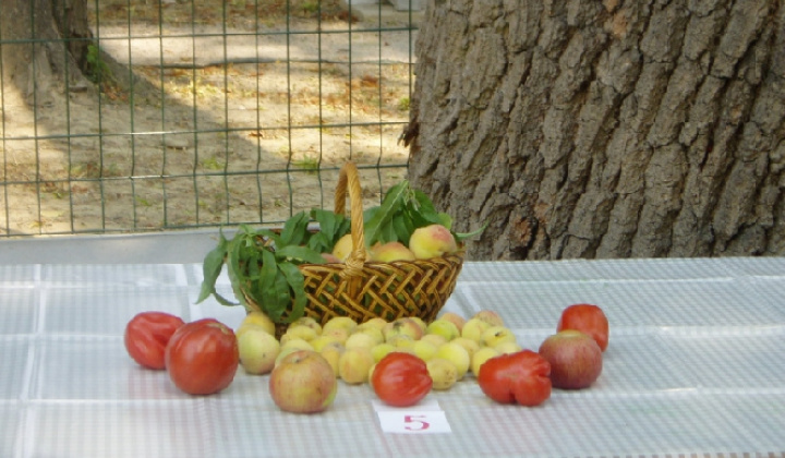 8. fotografia fotogalérie Čo záhrada dala 2012