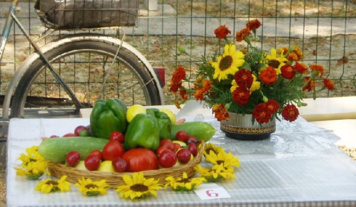 9. fotografia fotogalérie Čo záhrada dala 2012