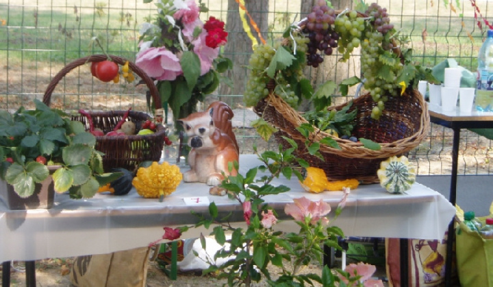 10. fotografia fotogalérie Čo záhrada dala 2012