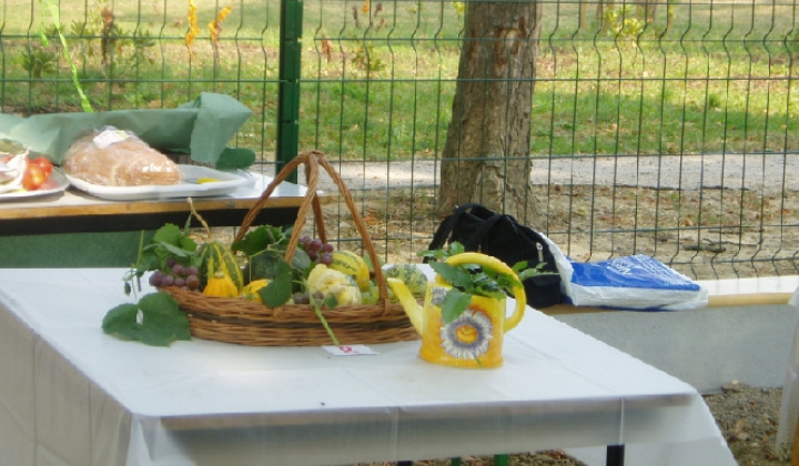 11. fotografia fotogalérie Čo záhrada dala 2012