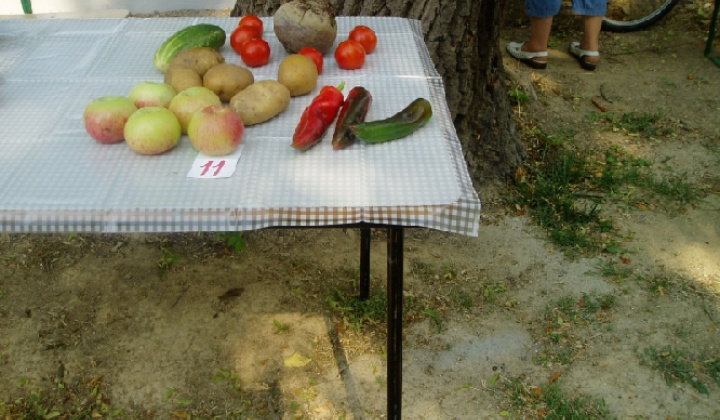 12. fotografia fotogalérie Čo záhrada dala 2012