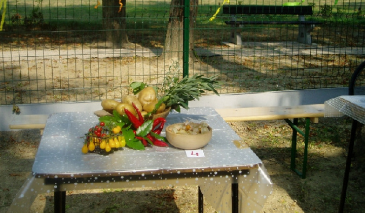 13. fotografia fotogalérie Čo záhrada dala 2012