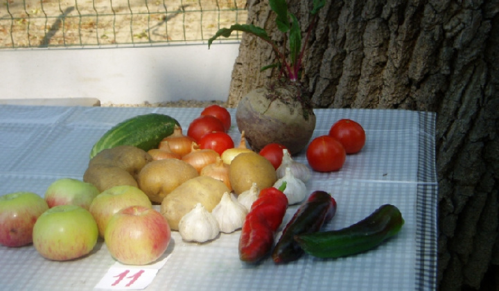 14. fotografia fotogalérie Čo záhrada dala 2012