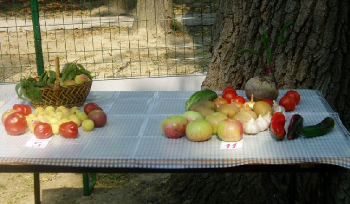 15. fotografia fotogalérie Čo záhrada dala 2012