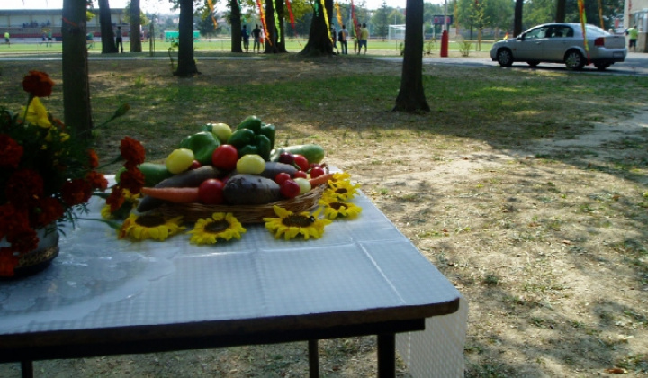 16. fotografia fotogalérie Čo záhrada dala 2012