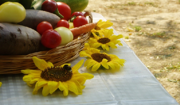 17. fotografia fotogalérie Čo záhrada dala 2012