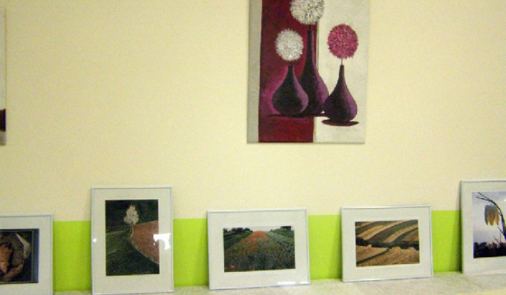 13. fotografia fotogalérie Mesiac úctu k starším 2013